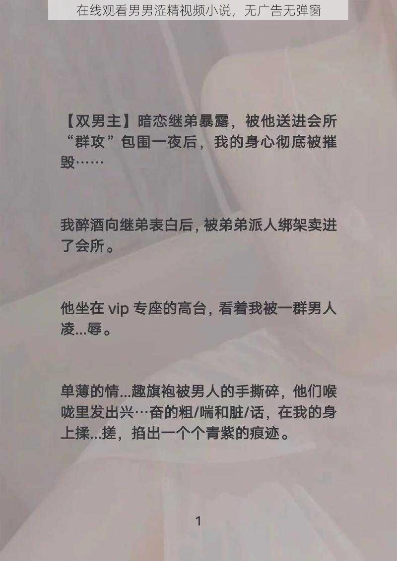 在线观看男男涩精视频小说，无广告无弹窗