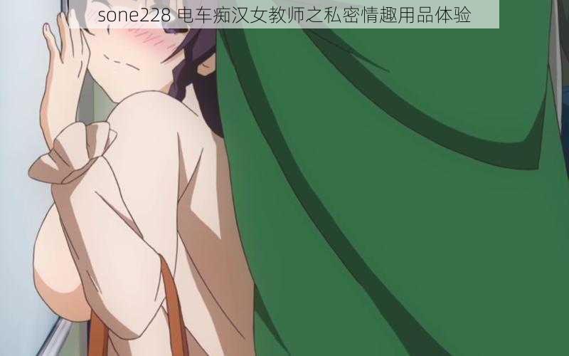 sone228 电车痴汉女教师之私密情趣用品体验