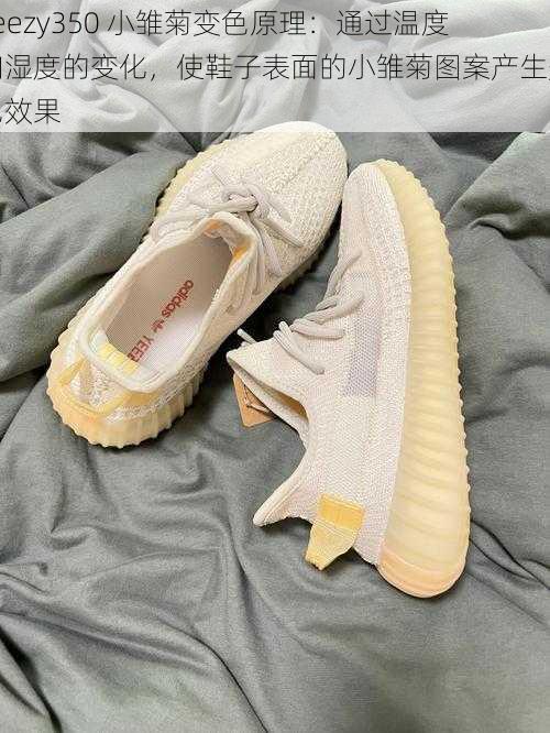 yeezy350 小雏菊变色原理：通过温度和湿度的变化，使鞋子表面的小雏菊图案产生变色效果