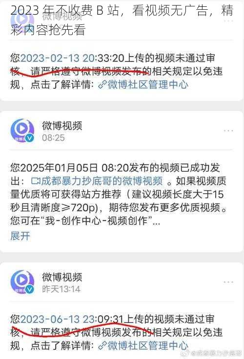 2023 年不收费 B 站，看视频无广告，精彩内容抢先看