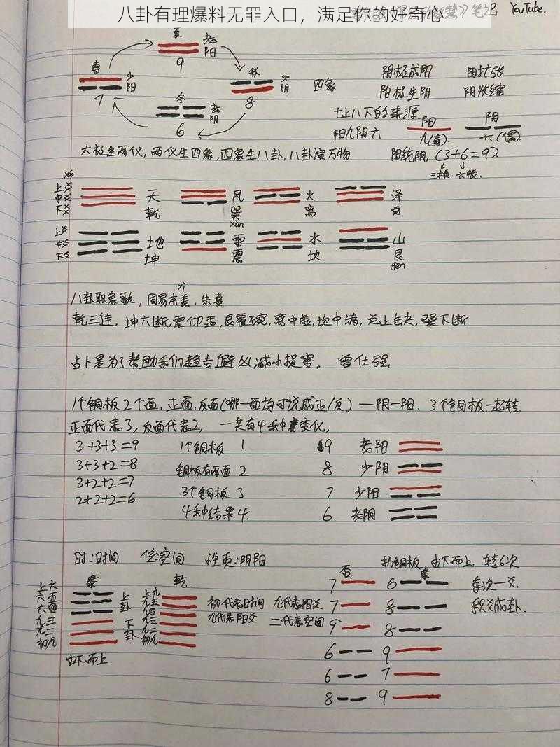 八卦有理爆料无罪入口，满足你的好奇心