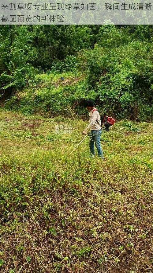 来割草呀专业呈现绿草如茵，瞬间生成清晰截图预览的新体验