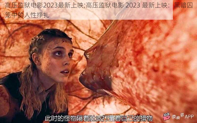 高压监狱电影2023最新上映;高压监狱电影 2023 最新上映：黑暗囚笼中的人性挣扎