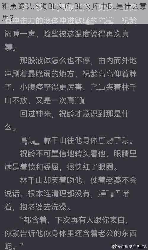 粗黑跪趴浓稠BL文库,BL 文库中BL是什么意思？