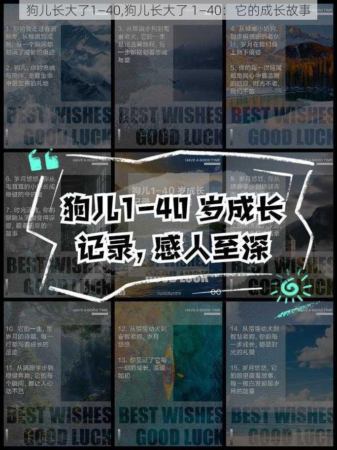 狗儿长大了1—40,狗儿长大了 1—40：它的成长故事