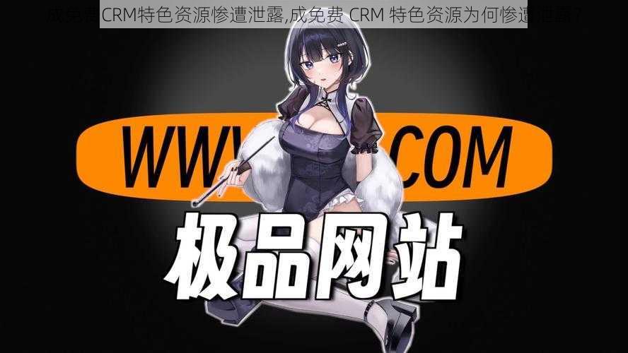 成免费CRM特色资源惨遭泄露,成免费 CRM 特色资源为何惨遭泄露？