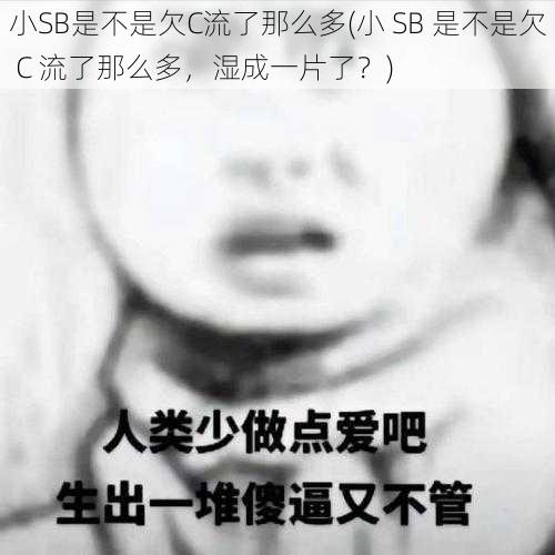 小SB是不是欠C流了那么多(小 SB 是不是欠 C 流了那么多，湿成一片了？)