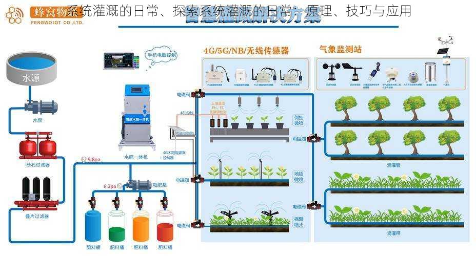 系统灌溉的日常、探索系统灌溉的日常：原理、技巧与应用