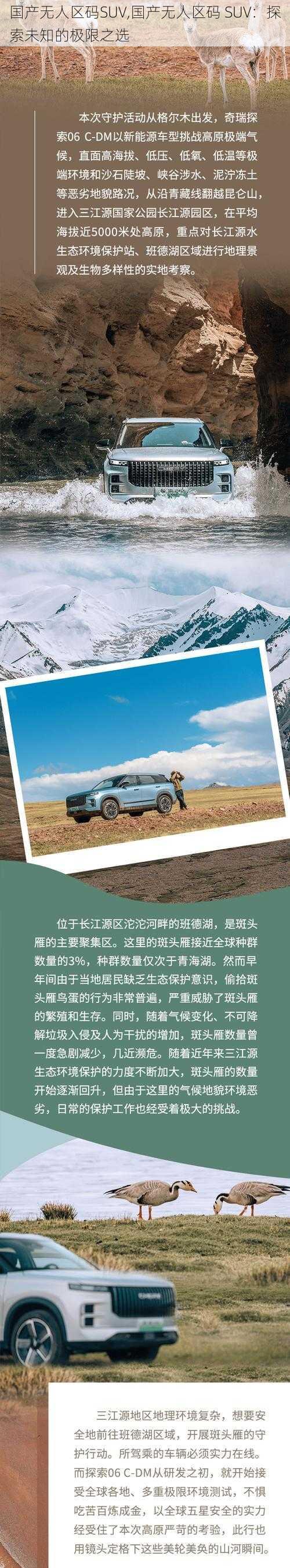 国产无人区码SUV,国产无人区码 SUV：探索未知的极限之选