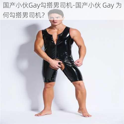 国产小伙Gay勾搭男司机-国产小伙 Gay 为何勾搭男司机？