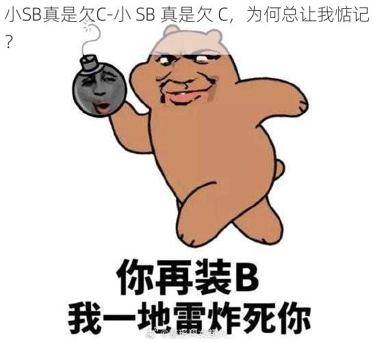 小SB真是欠C-小 SB 真是欠 C，为何总让我惦记？