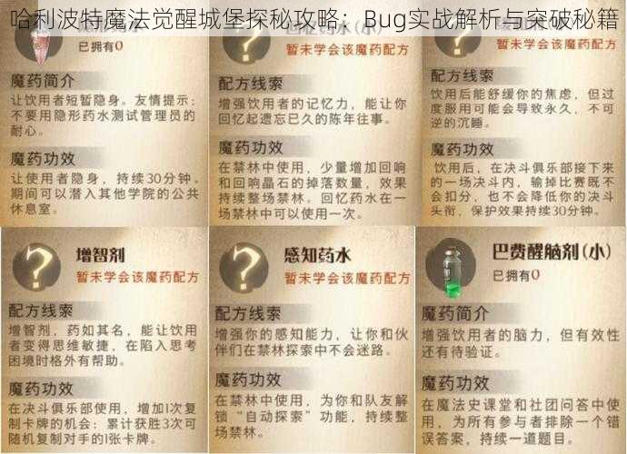 哈利波特魔法觉醒城堡探秘攻略：Bug实战解析与突破秘籍