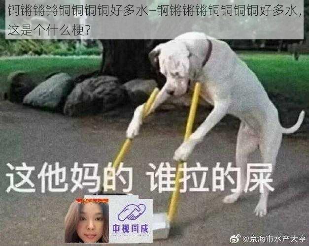 锕锵锵锵铜铜铜铜好多水—锕锵锵锵铜铜铜铜好多水，这是个什么梗？