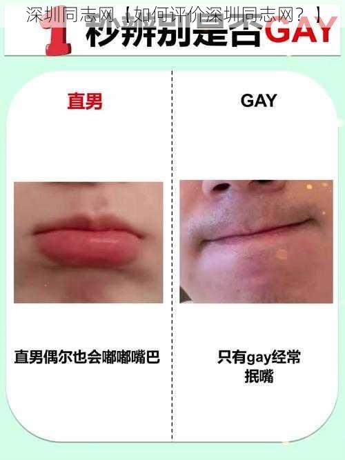 深圳同志网【如何评价深圳同志网？】