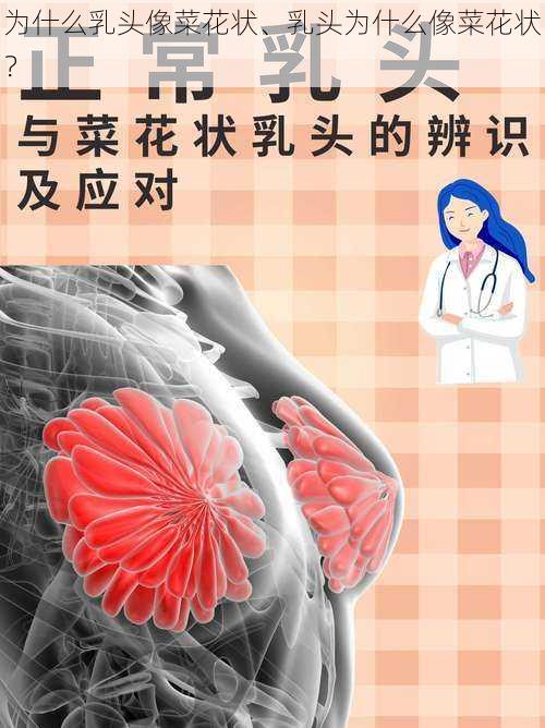 为什么乳头像菜花状、乳头为什么像菜花状？