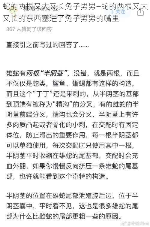 蛇的两根又大又长兔子男男—蛇的两根又大又长的东西塞进了兔子男男的嘴里