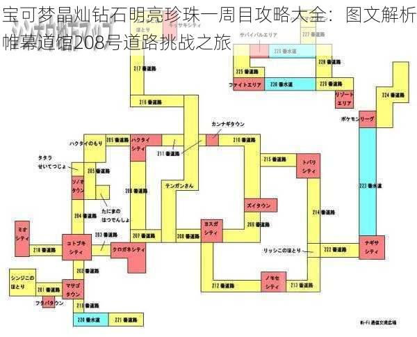 宝可梦晶灿钻石明亮珍珠一周目攻略大全：图文解析帷幕道馆208号道路挑战之旅