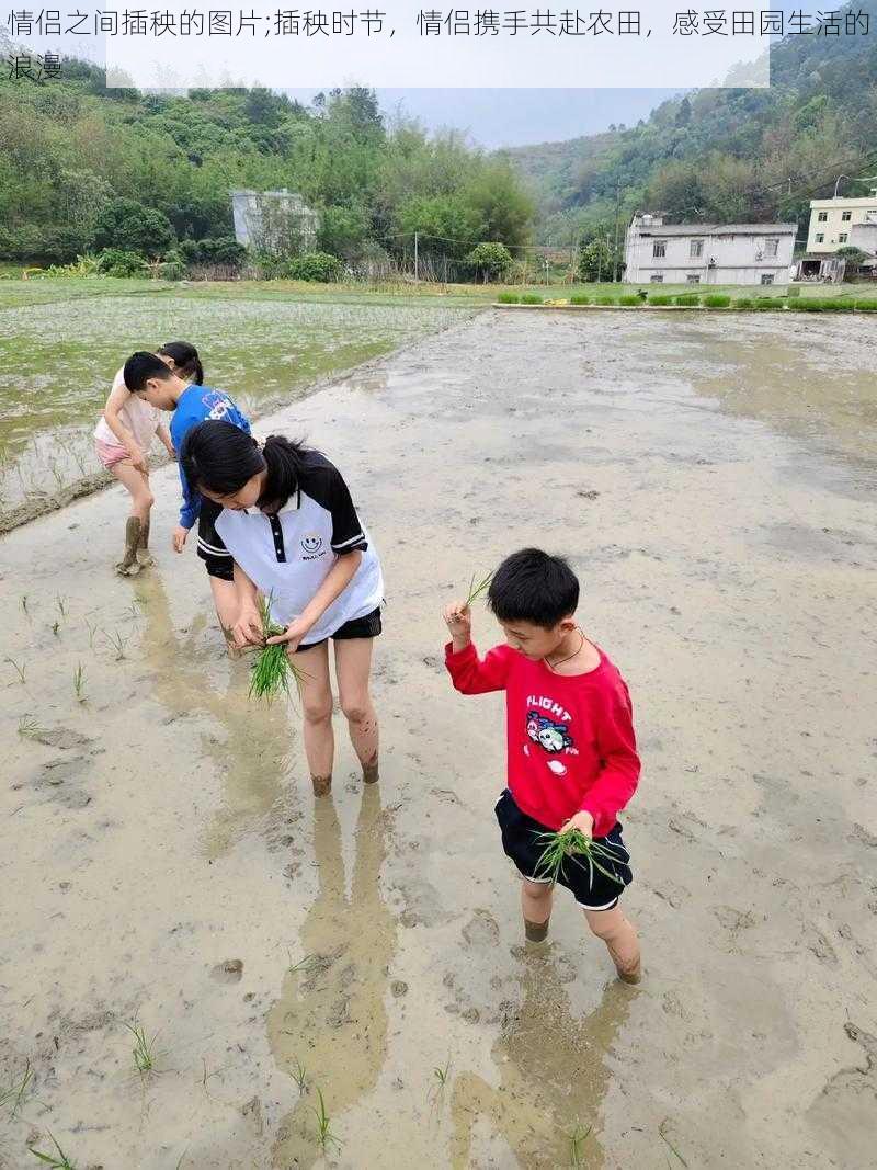 情侣之间插秧的图片;插秧时节，情侣携手共赴农田，感受田园生活的浪漫