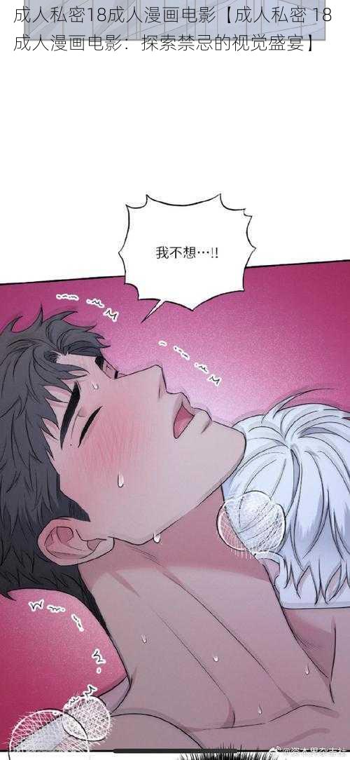 成人私密18成人漫画电影【成人私密 18 成人漫画电影：探索禁忌的视觉盛宴】