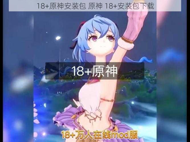 18+原神安装包 原神 18+安装包下载