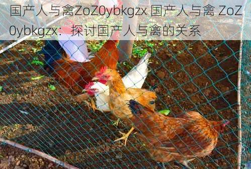 国产人与禽ZoZ0ybkgzx 国产人与禽 ZoZ0ybkgzx：探讨国产人与禽的关系