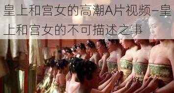 皇上和宫女的高潮A片视频—皇上和宫女的不可描述之事