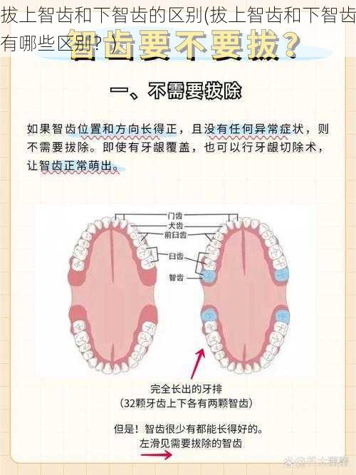 拔上智齿和下智齿的区别(拔上智齿和下智齿有哪些区别？)