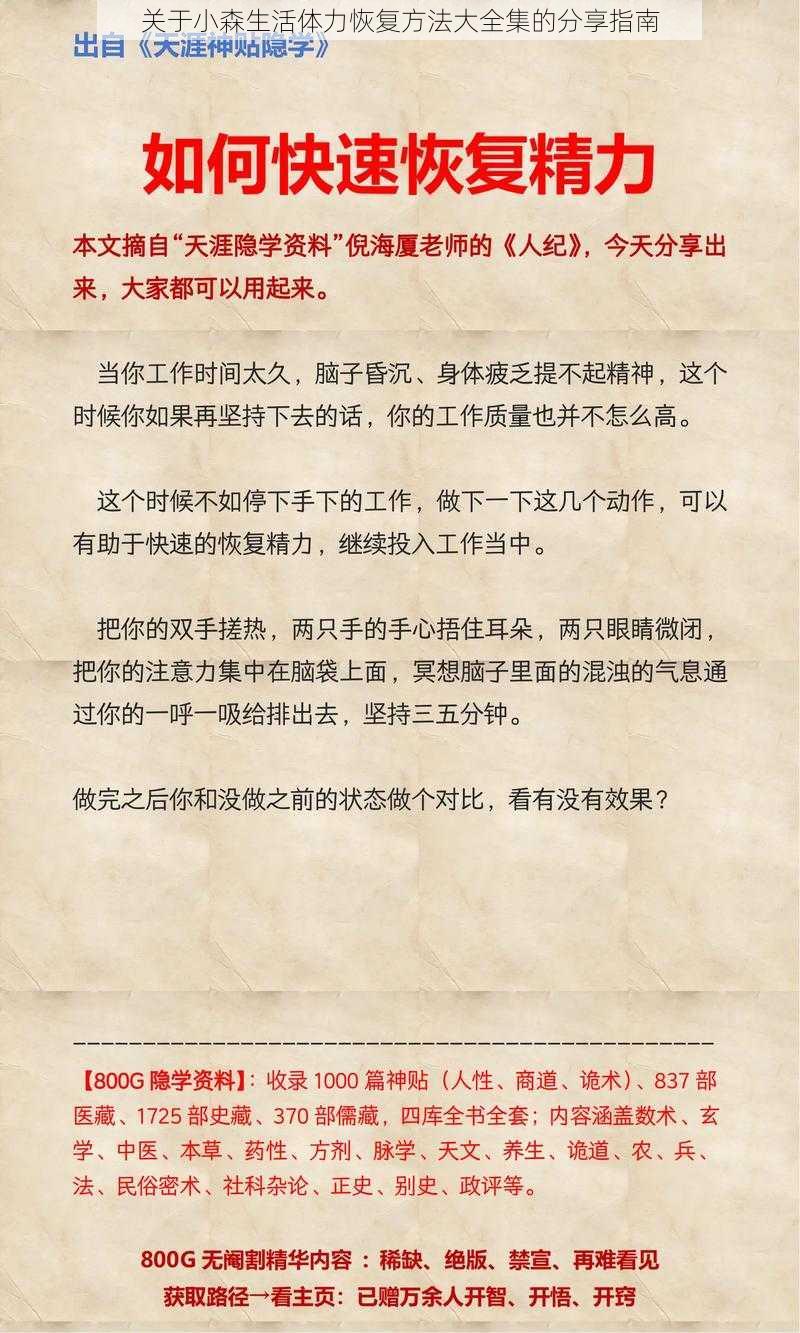 关于小森生活体力恢复方法大全集的分享指南