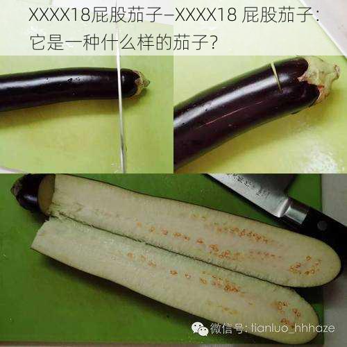 XXXX18屁股茄子—XXXX18 屁股茄子：它是一种什么样的茄子？