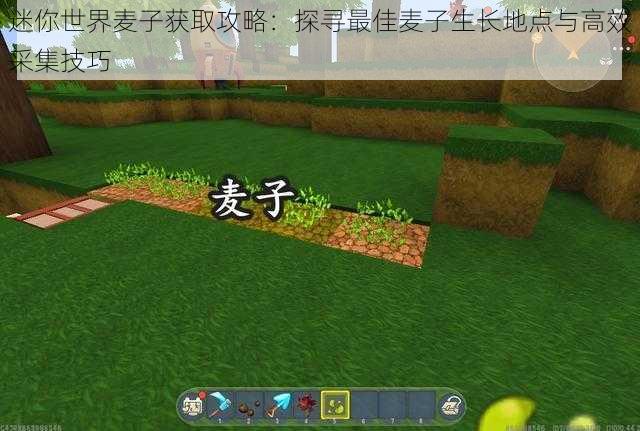 迷你世界麦子获取攻略：探寻最佳麦子生长地点与高效采集技巧