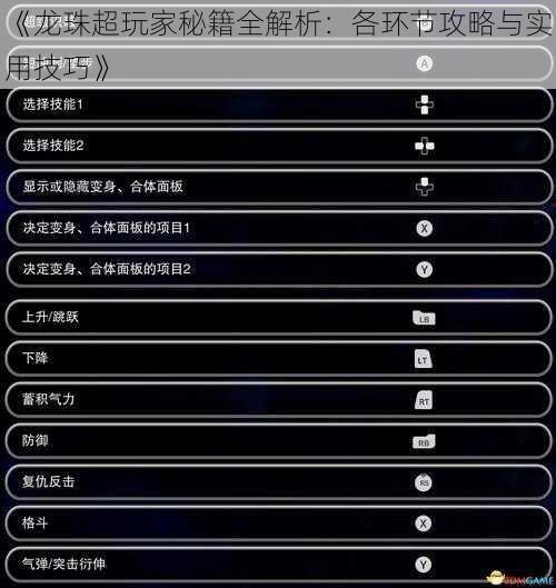 《龙珠超玩家秘籍全解析：各环节攻略与实用技巧》