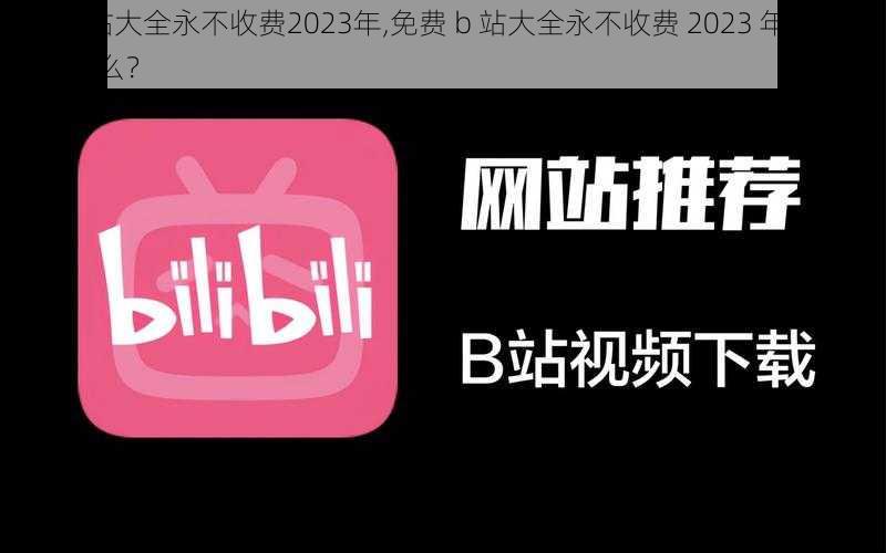 免费b站大全永不收费2023年,免费 b 站大全永不收费 2023 年，你还在等什么？