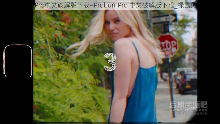 ProburnPro中文破解版下载—ProburnPro 中文破解版下载_绿色免费版