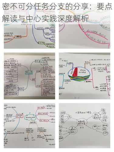 密不可分任务分支的分享：要点解读与中心实践深度解析