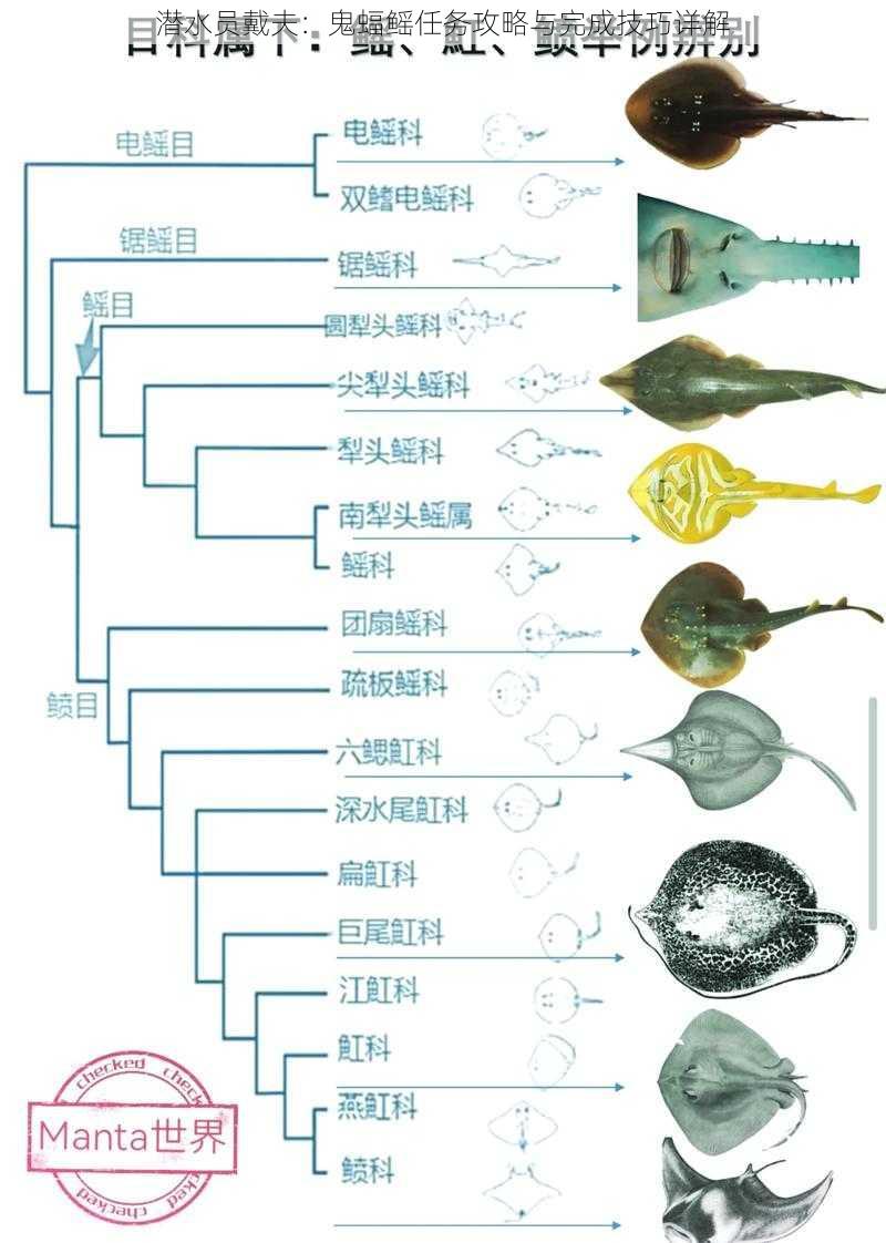 潜水员戴夫：鬼蝠鳐任务攻略与完成技巧详解