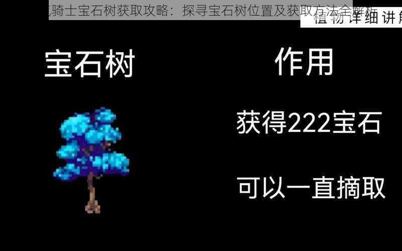 元气骑士宝石树获取攻略：探寻宝石树位置及获取方法全解析