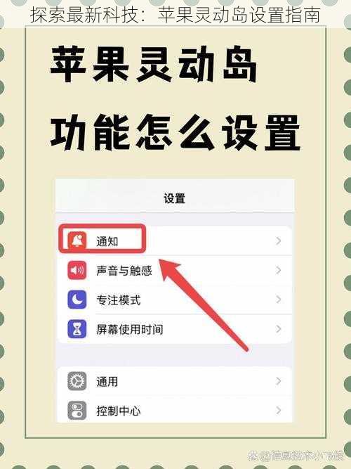 探索最新科技：苹果灵动岛设置指南