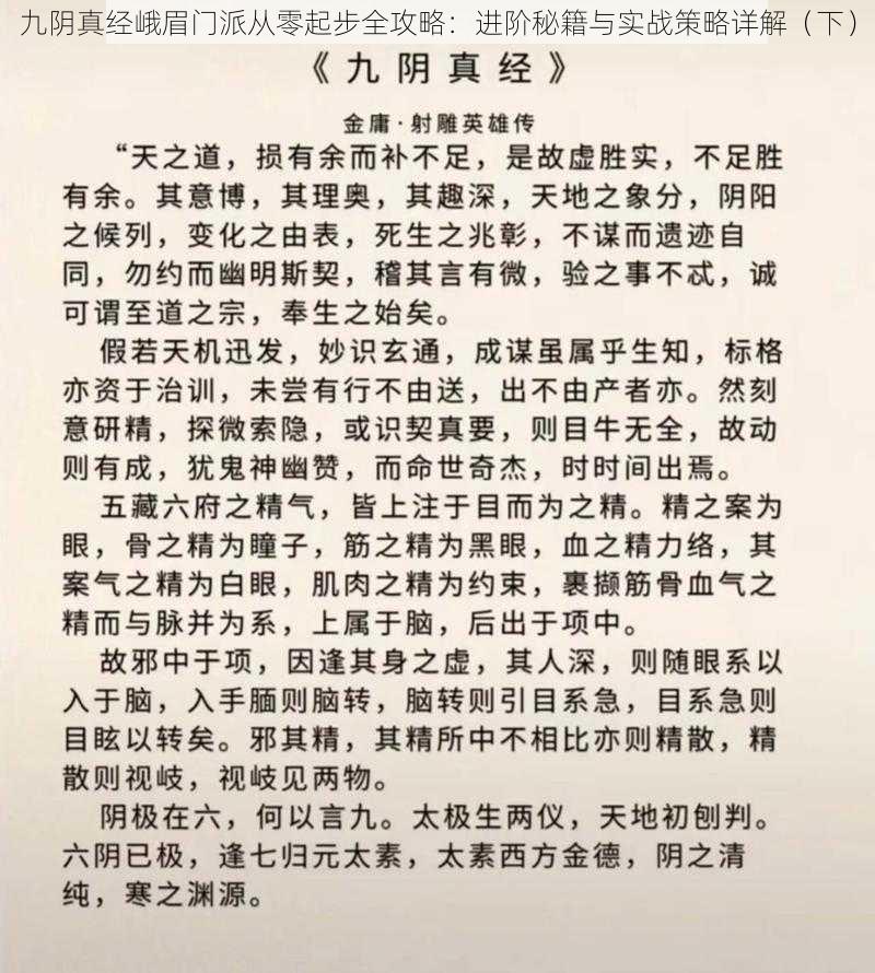 九阴真经峨眉门派从零起步全攻略：进阶秘籍与实战策略详解（下）