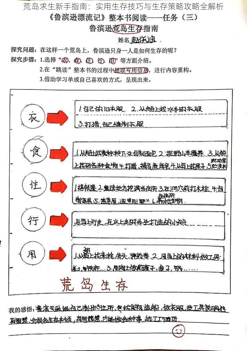 荒岛求生新手指南：实用生存技巧与生存策略攻略全解析