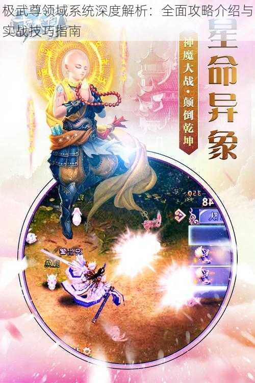 极武尊领域系统深度解析：全面攻略介绍与实战技巧指南