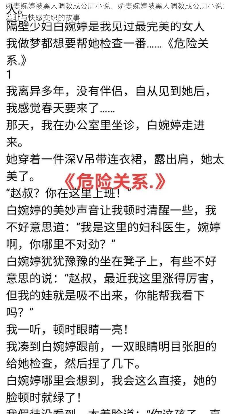 娇妻婉婷被黑人调教成公厕小说、娇妻婉婷被黑人调教成公厕小说：羞耻与快感交织的故事