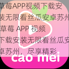 草莓APP视频下载安装无限看丝瓜安卓苏州,草莓 APP 视频下载安装无限看丝瓜安卓苏州，尽享精彩