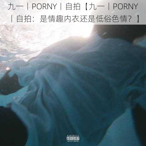 九一丨PORNY丨自拍【九一丨PORNY丨自拍：是情趣内衣还是低俗色情？】