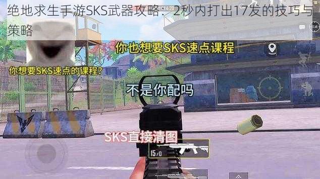 绝地求生手游SKS武器攻略：2秒内打出17发的技巧与策略