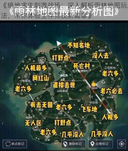 《绝地求生刺激战场：深入解析雨林地图玩法，带你体验生存竞技新篇章》