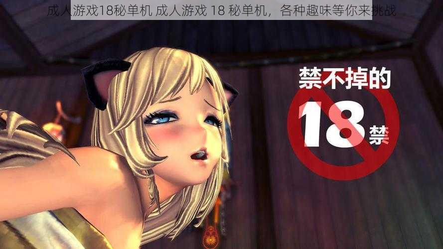 成人游戏18秘单机 成人游戏 18 秘单机，各种趣味等你来挑战