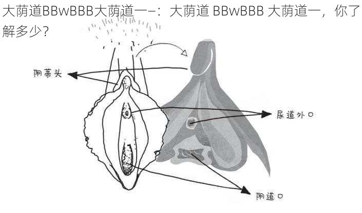 大荫道BBwBBB大荫道一—：大荫道 BBwBBB 大荫道一，你了解多少？