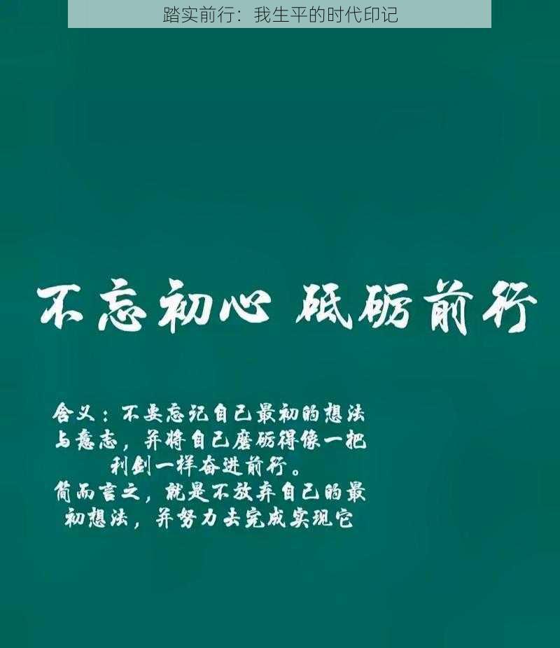 踏实前行：我生平的时代印记