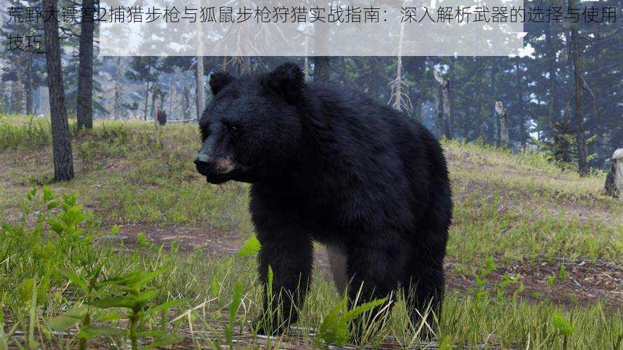 荒野大镖客2捕猎步枪与狐鼠步枪狩猎实战指南：深入解析武器的选择与使用技巧