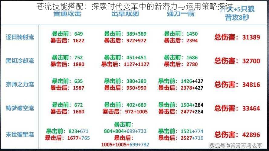 苍流技能搭配：探索时代变革中的新潜力与运用策略探讨